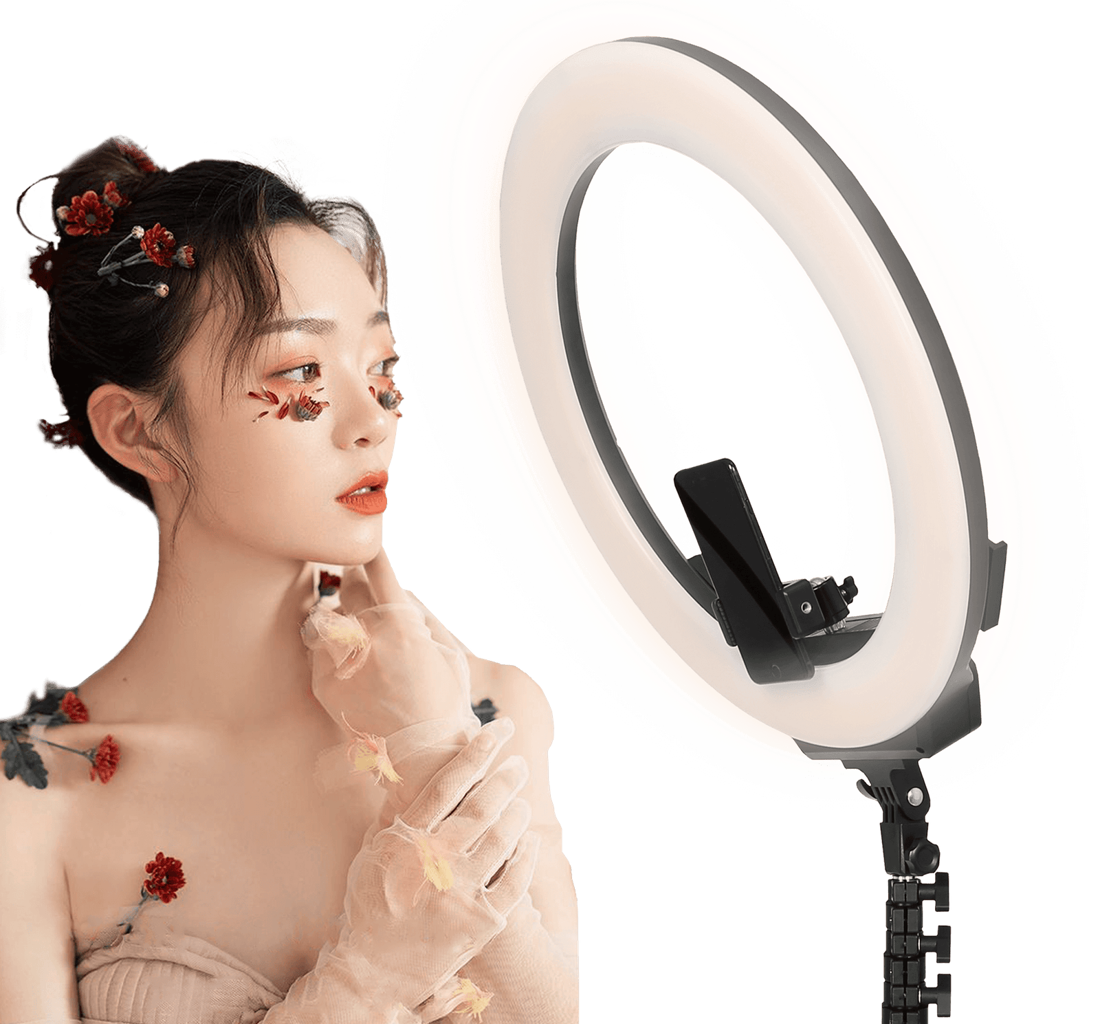 FotoGeneral-Egypt-AFI-R219-Ring-Light
